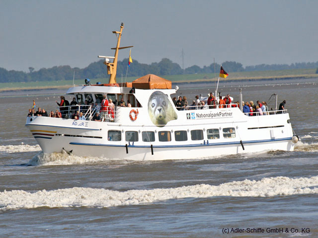 Ausflüge mit dem Schiff - Fahren Sie zu den Inseln