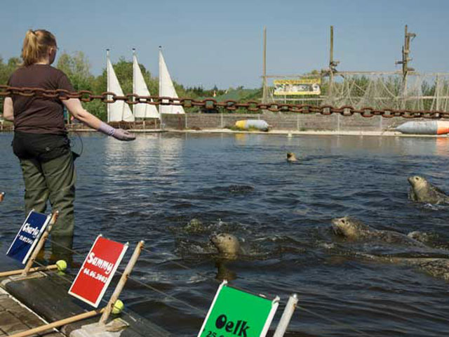 Erleben Sie die einheimische Tierwelt im Westküstenpark