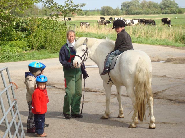 Reiten