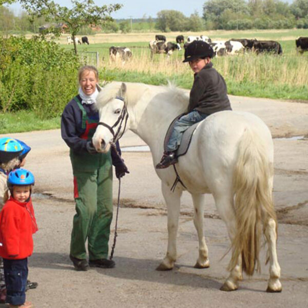 Ponyreiten Ferienhof Landfrieden
