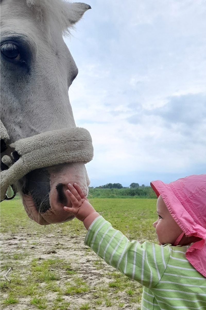 Ponyreiten