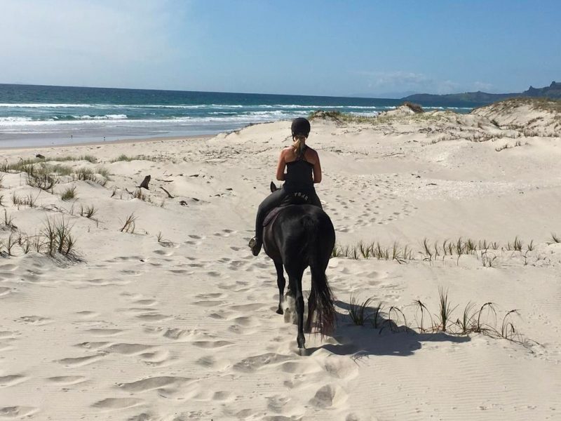 Reiten an der Nordsee